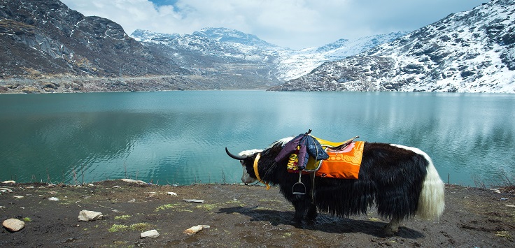 Incredible India - Gangtok-Darjeeling